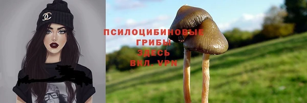 а пвп мука Армянск