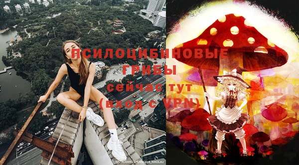 а пвп мука Армянск