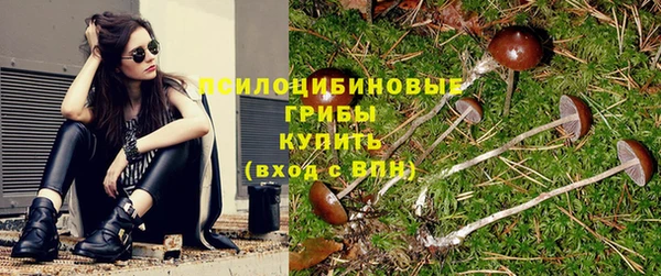 а пвп мука Армянск