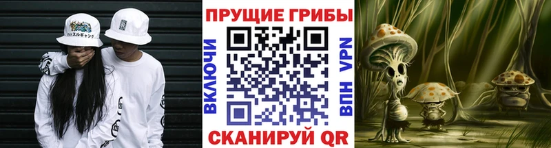 Галлюциногенные грибы Psilocybe  дарнет шоп  Ясногорск 